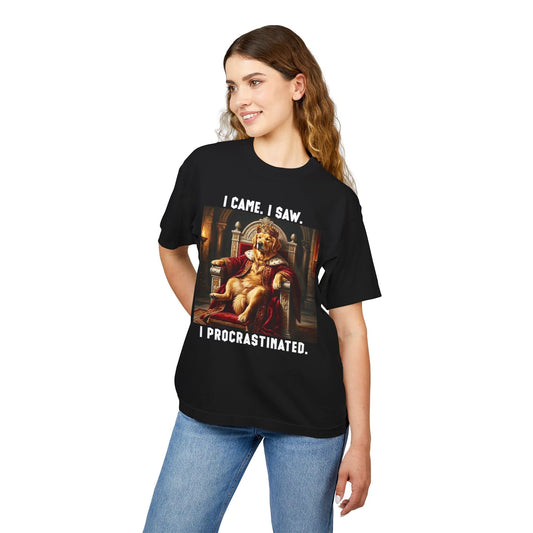 I Came, I Saw, I Procrastinated Tee