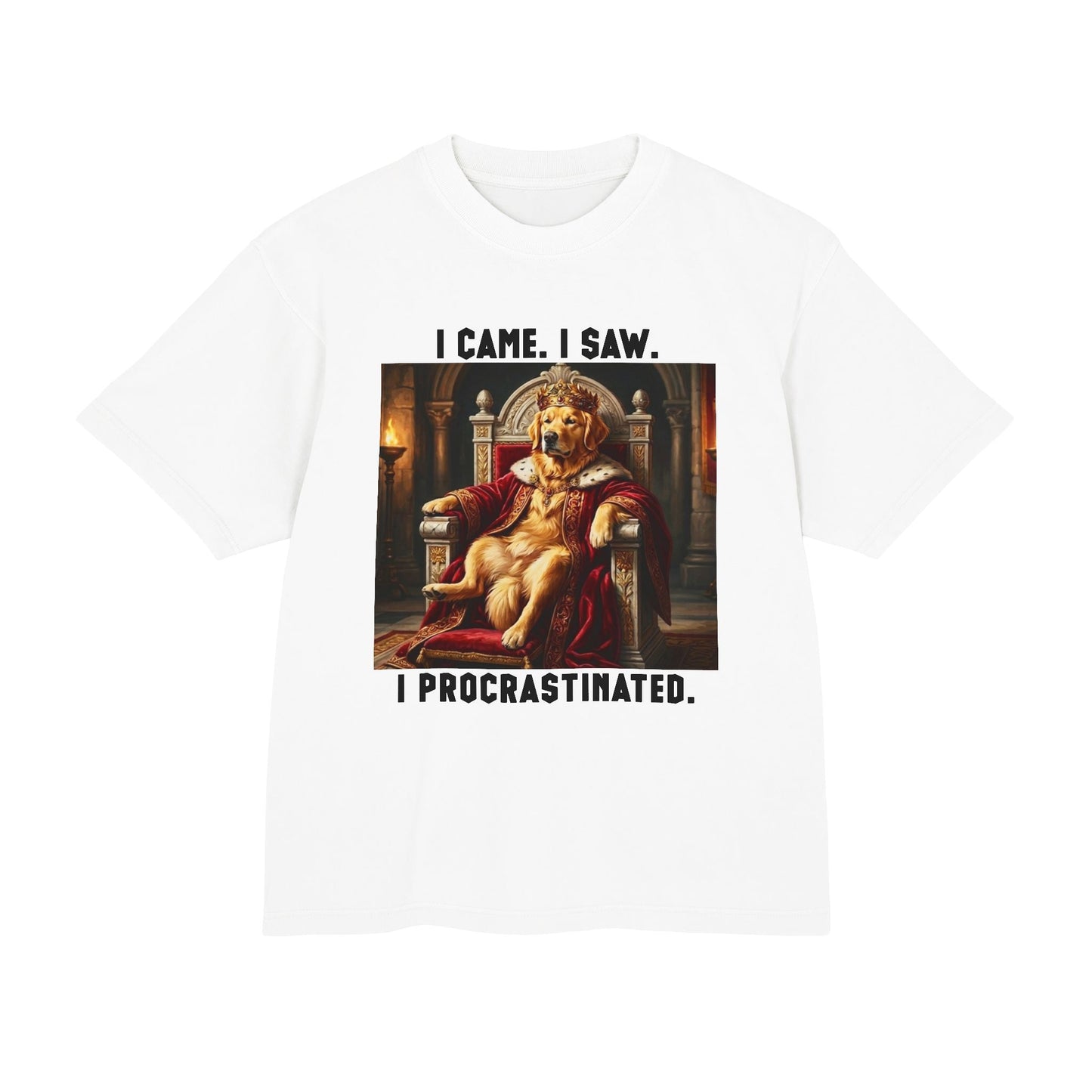 I Came, I Saw, I Procrastinated Tee