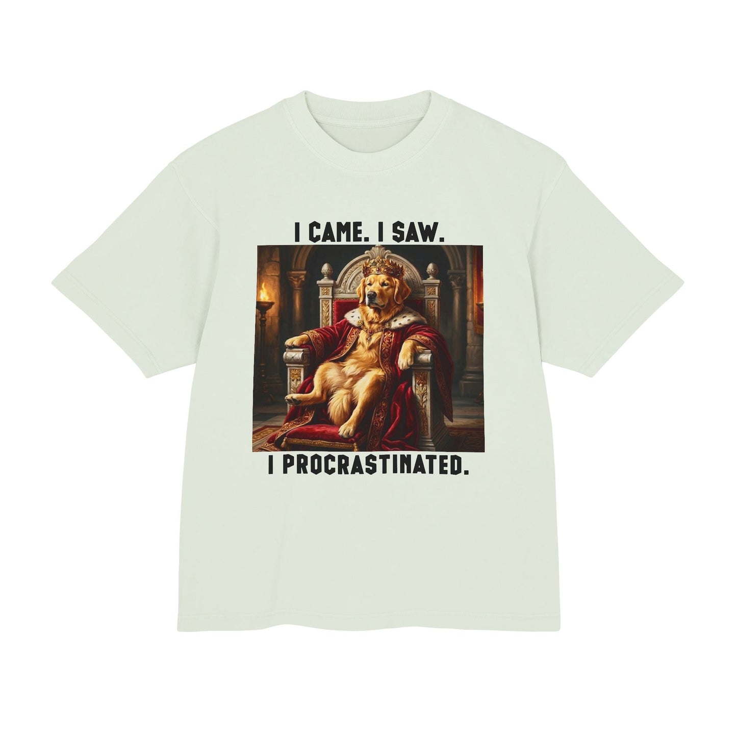 I Came, I Saw, I Procrastinated Tee