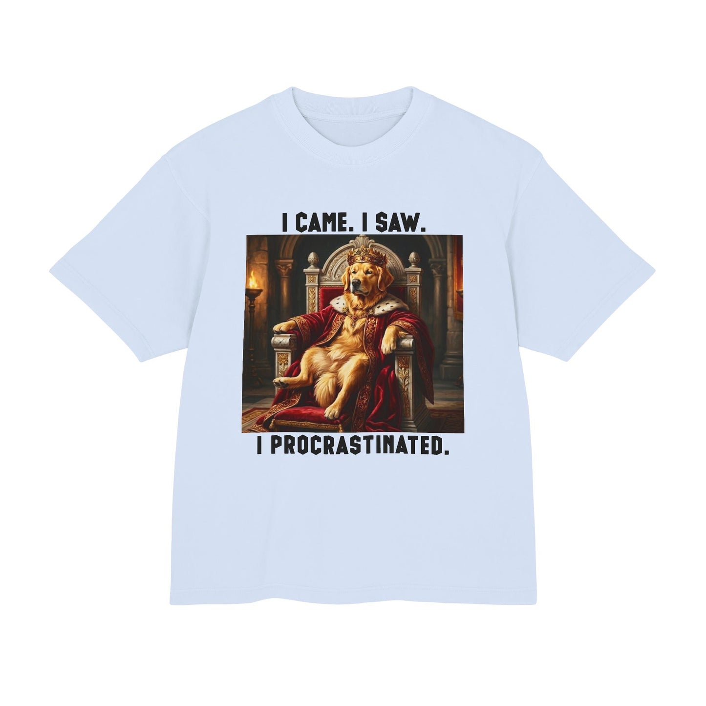 I Came, I Saw, I Procrastinated Tee
